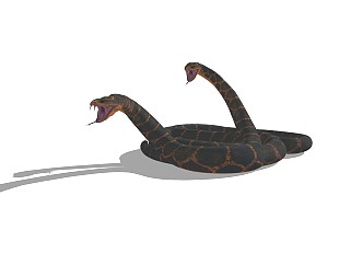 精品<em>动物</em>模型(98)蛇